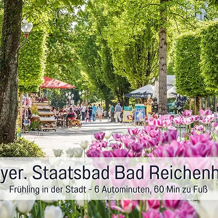 Bauer In Lejlighed Piding